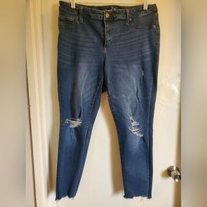 Plus size skinny jeans